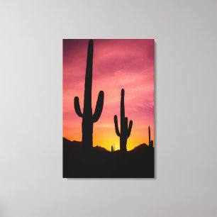 Saguaro-Kakteen bei Sonnenaufgang, Arizona Leinwanddruck