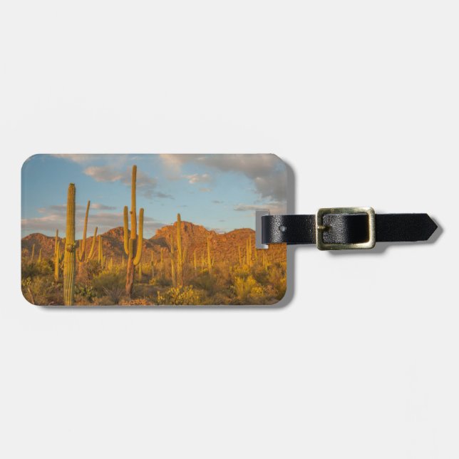 Saguaro-Kakteen bei Sonnenuntergang, Arizona Gepäckanhänger (Vorderseite horizontal)