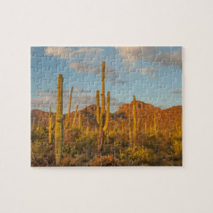 Saguaro-Kakteen bei Sonnenuntergang, Arizona Puzzle