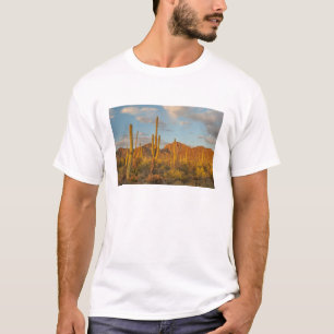 Saguaro-Kakteen bei Sonnenuntergang, Arizona T-Shirt
