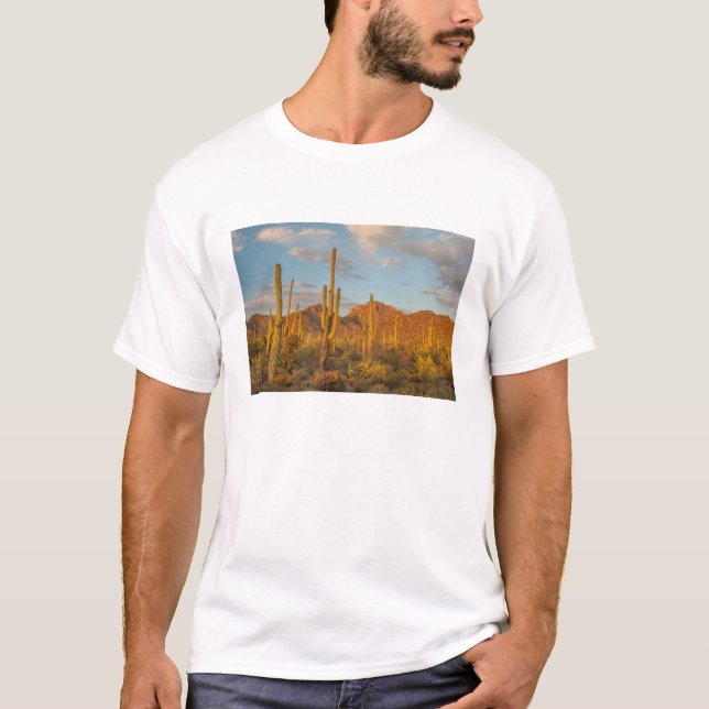 Saguaro-Kakteen bei Sonnenuntergang, Arizona T-Shirt (Vorderseite)