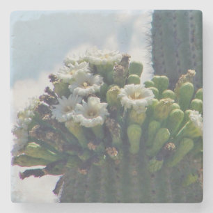 Saguaro-Kakteen-Blüten Steinuntersetzer