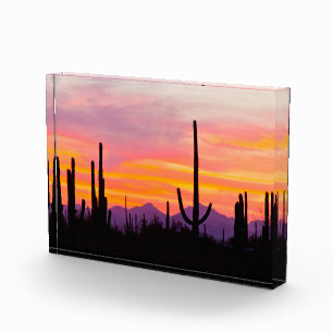Saguaro-Kakteenwald bei Sonnenuntergang Fotoblock