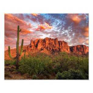Saguaro Kaktus Aberglaube Berg Sonnenuntergang Wol Fotodruck