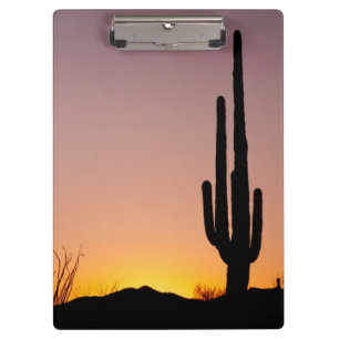Saguaro-Kaktus am Sonnenuntergang Klemmbrett