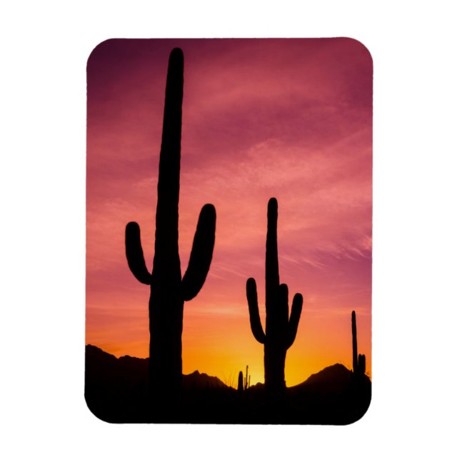Saguaro-Kaktus bei Sonnenaufgang, Arizona Magnet (Vertikal)