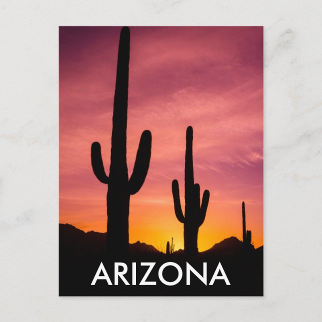 Saguaro-Kaktus bei Sonnenaufgang, Arizona Postkarte (Vorderseite)