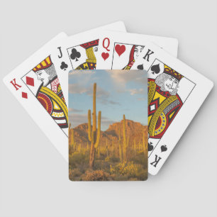 Saguaro-Kaktus bei Sonnenuntergang, Arizona Spielkarten