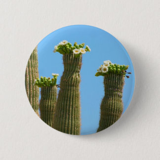 Saguaro-Kaktus-Blüten Button
