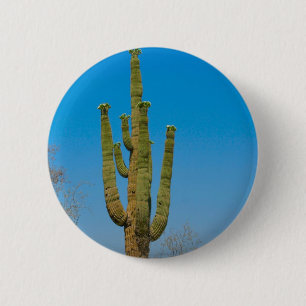 Saguaro-Kaktus Button