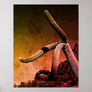 Saguaro-Kaktus-Kunstfotografie im rustikalen Stil Poster