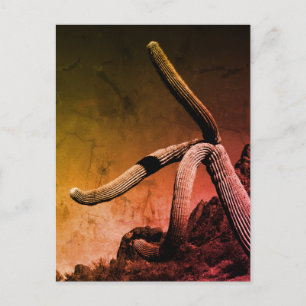 Saguaro-Kaktus-Kunstfotografie im rustikalen Stil Postkarte