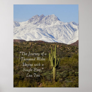 Saguaro Kaktus Schnee bedeckte Berge Arizona USA Poster