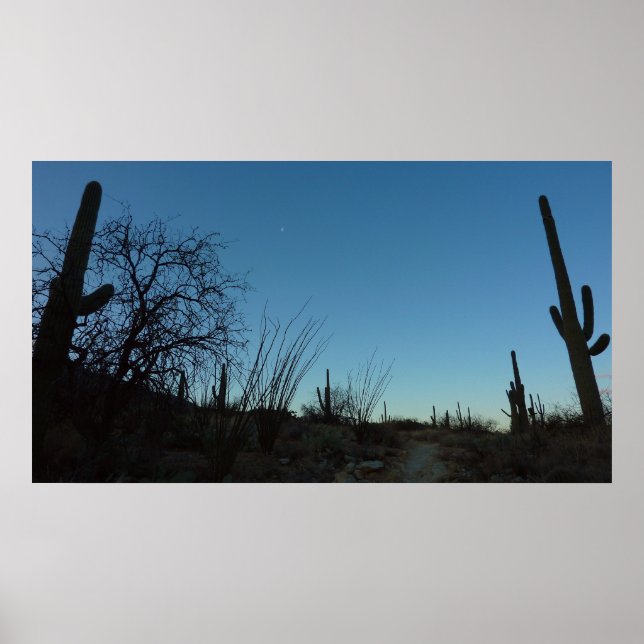 Saguaro Morning am Saguaro Nationalpark Poster (Vorne)
