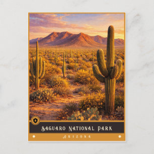 Saguaro National Park   Arizona Vintage Postkarte