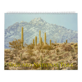 Saguaro National Park Landscape Kalender