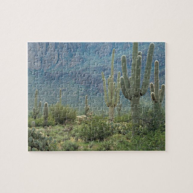 Saguaro-Nationalpark, Arizona Puzzle (Horizontal)