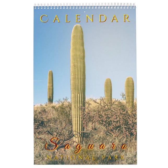 Saguaro Nationalpark Flora Landschaften Kalender (Titelbild)