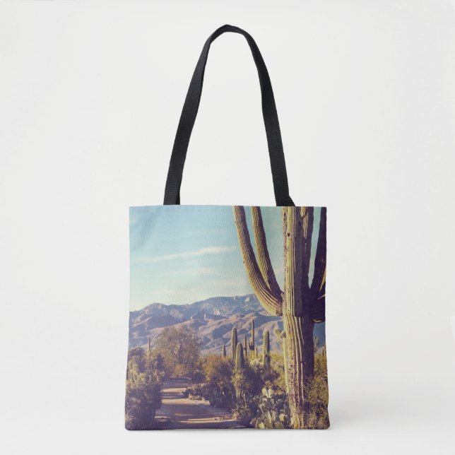 Saguaro Nationalpark, landschaftliche Vertretung. (Vorderseite)