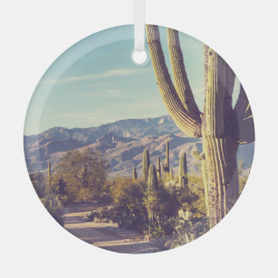 Saguaro Nationalpark, landschaftliche Vertretung. Ornament Aus Glas