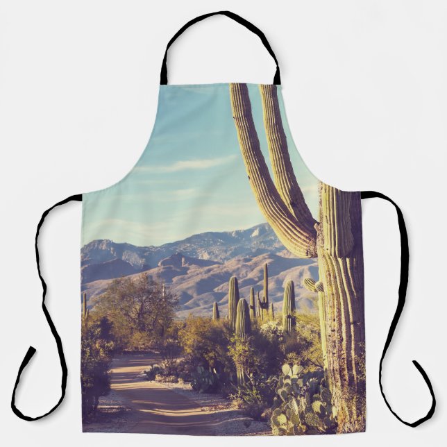 Saguaro Nationalpark, landschaftliche Vertretung. Schürze (Vorderseite)
