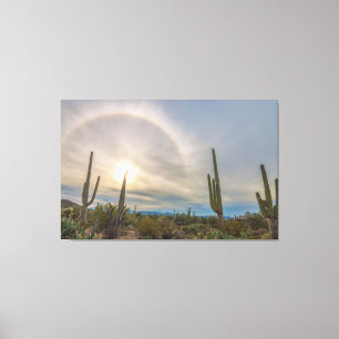 Saguaro-Nationalpark Leinwanddruck