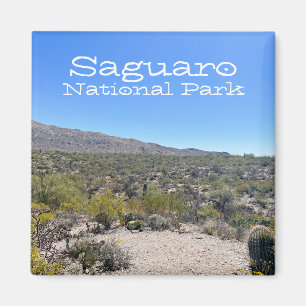 Saguaro-Nationalpark Magnet