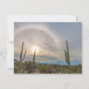 Saguaro Nationalpark mit Sun Halo Postkarte