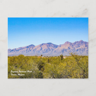 Saguaro Nationalpark Postcard Postkarte