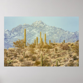 Saguaro-Nationalpark Poster