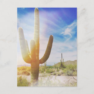 Saguaro-Nationalpark Postkarte