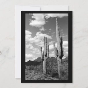 Saguaro Sentinel (AZ Sonoran Desert) Einladung