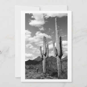 Saguaro Sentinel (AZ Sonoran Desert) Einladung