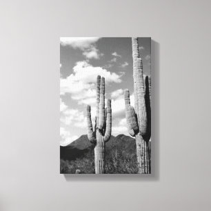 Saguaro Sentinels Foto Leinwand (AZ Sonoran Desert