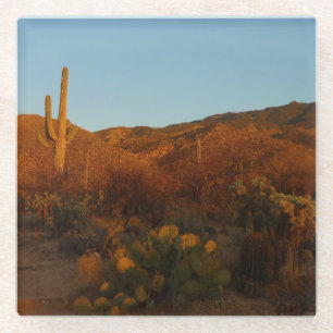 Saguaro Sonnenuntergang I Arizona-Wüstenlandschaft Glasuntersetzer