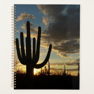 Saguaro Sonnenuntergang II Arizona Wüstenlandschaf Planer