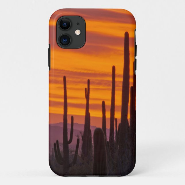 Saguaro, Sonnenuntergang, Nationalpark Saguaro Case-Mate iPhone Hülle (Rückseite)