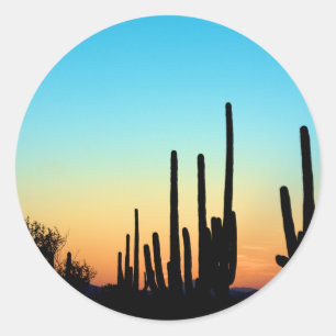 Saguaro-Sonnenuntergang Runder Aufkleber
