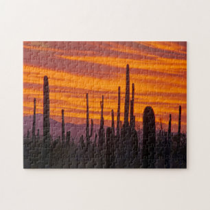 Saguaro, Sonnenuntergang, Saguaro National Park Puzzle