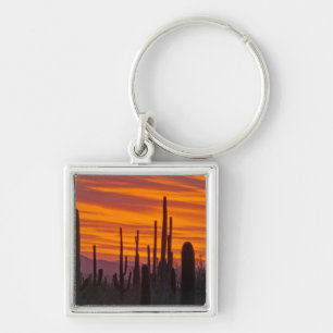 Saguaro, Sonnenuntergang, Saguaro-Nationalpark Schlüsselanhänger