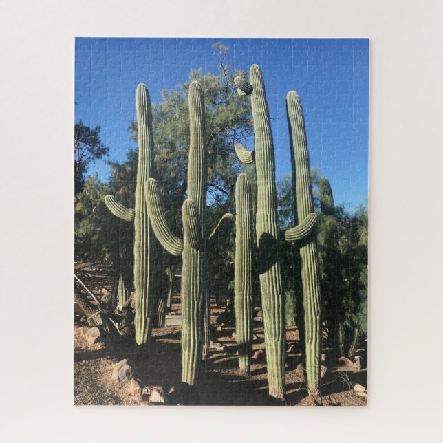 Saguaro Stand Puzzle (Vertikal)