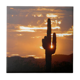 Saguaro-Strahlen Fliese