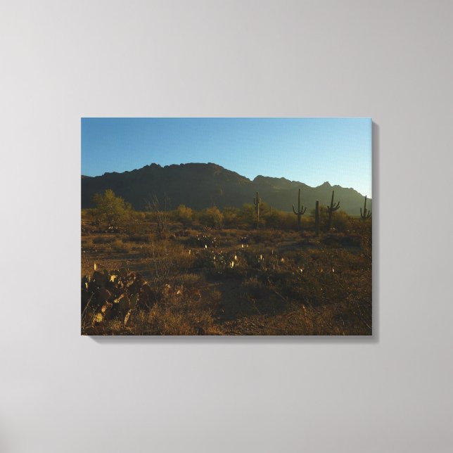Saguaro Sunrise in Saguaro Nationalpark Leinwanddruck (Vorderseite)