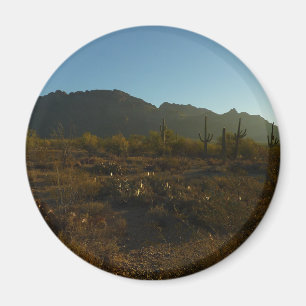 Saguaro Sunrise in Saguaro Nationalpark Magnet
