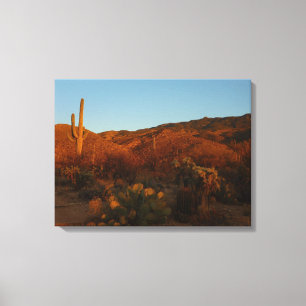 Saguaro Sunset I Arizona Wüste Landschaft Leinwanddruck