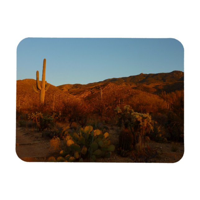 Saguaro Sunset I Arizona Wüste Landschaft Magnet (Horizontal)