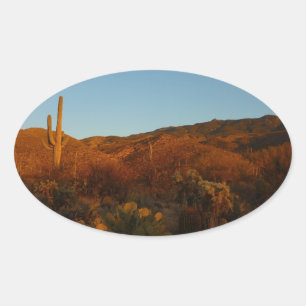 Saguaro Sunset I Arizona Wüste Landschaft Ovaler Aufkleber