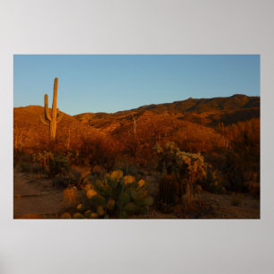 Saguaro Sunset I Arizona Wüste Landschaft Poster