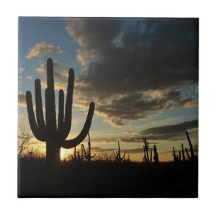Saguaro Sunset II Arizona Wüste Landschaft Fliese