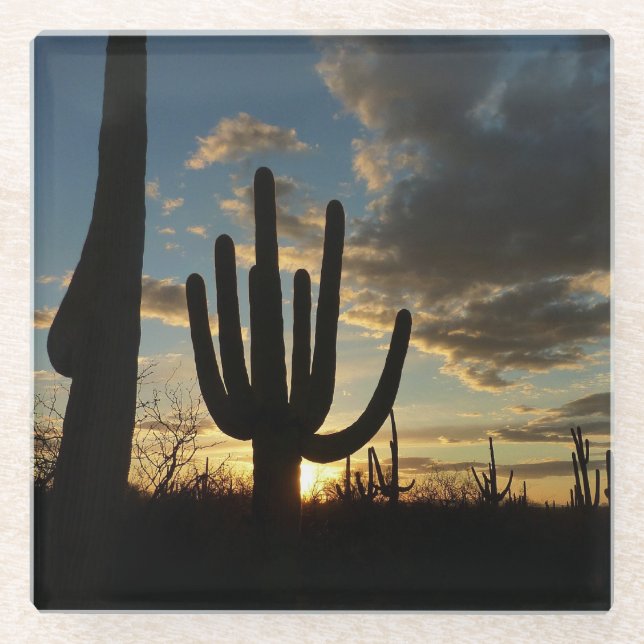 Saguaro Sunset II Arizona Wüste Landschaft Glasuntersetzer (Vorderseite)